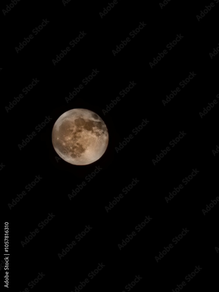 Fototapeta premium full moon in the night