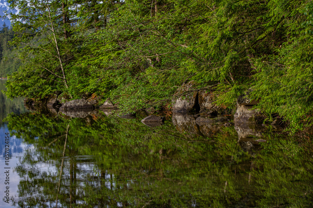 lago no Canadá com reflexo das árvores e pedras lago no Canadá com reflexo das árvores e pedras