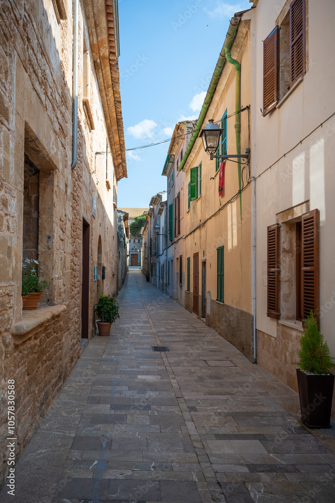 Fototapeta premium Narrow alley in Alcudia, Mallorca with potted plants in front of the homes, vertical shot, majorca spain