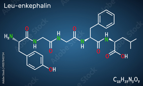 Leu-enkephalin molecule. Endogenous opioid peptide. Structural chemical formula,  dark blue background. Vector