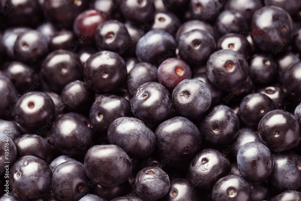 Ripe acai berries as background, closeup view Ripe acai berries as background, closeup view