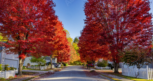 Canvas Print Autumn colors abound on small town street in. the Carolinas