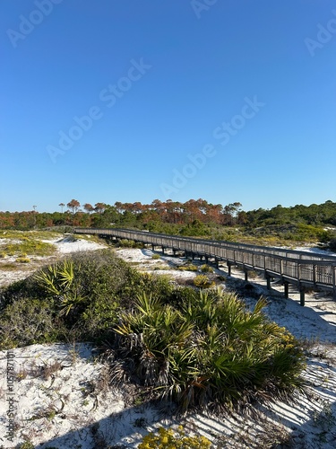 Фотография Topsail Hill Preserve State Park autumn dunes