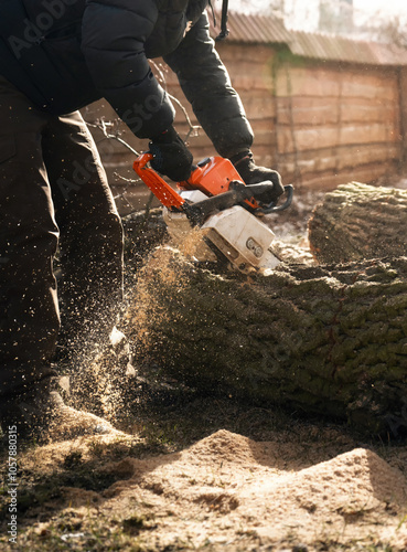 Pile of wood shavings near a tree cut down with a chainsaw by an arborist.