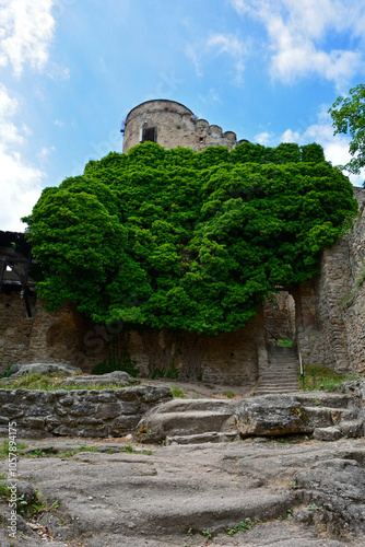 Obraz na płótnie stare ruiny domu porosniete zilonym pnączem, ruiny zamku porośnięte bujną zielenią, old ruins of a house overgrown with green vines, ivy-covered castle ruins surrounded by lush greenery w salonie