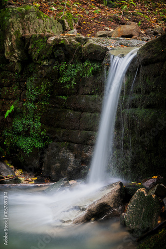 Fototapeta Naklejka Na Ścianę i Meble -  waterfall in the woods
