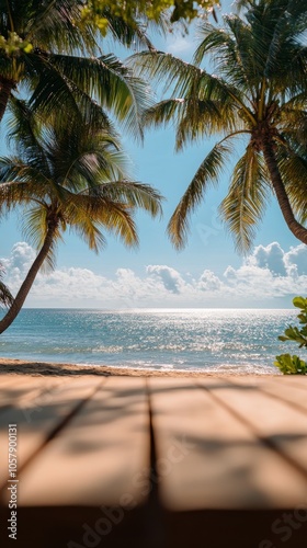 Tranquil beach view with palm trees under a bright sky at midday near the coast