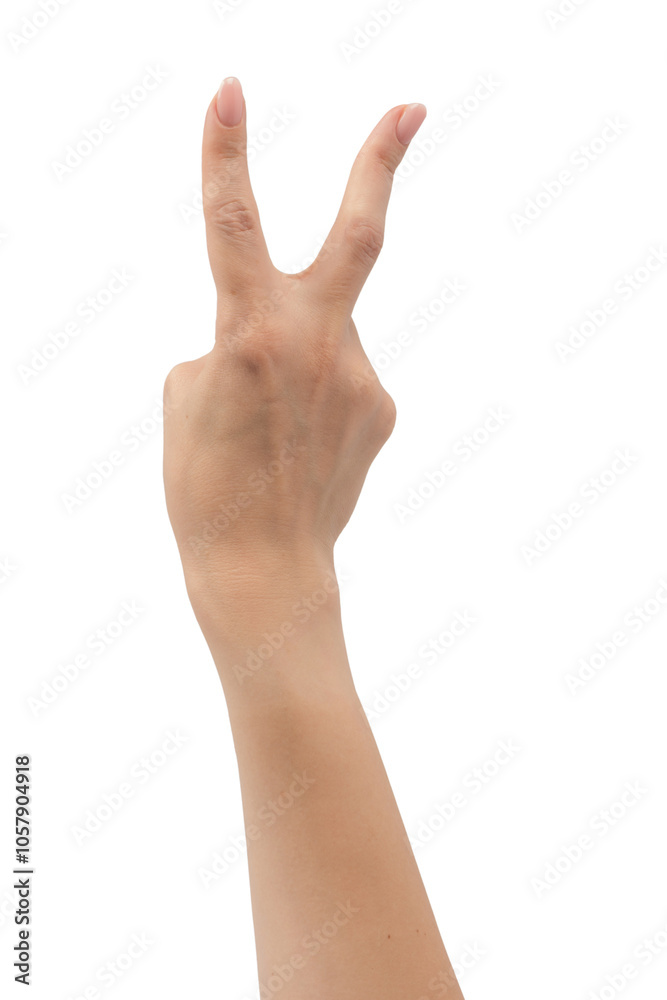 Woman hands with nude manicure isolated on a white background. Woman hands with nude manicure isolated on a white background.