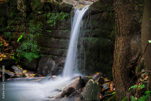 Fototapeta Naklejka Na Ścianę i Meble -  waterfall in the forest