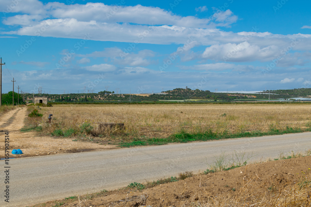 Obraz premium paesaggio rurale
