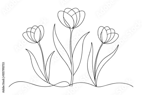 Unique Tulip Line Art Stunning Single Line Drawings for Flower Lovers