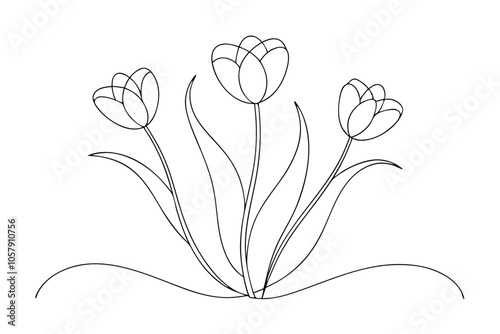 Unique Tulip Line Art Stunning Single Line Drawings for Flower Lovers