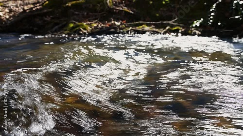 Closeup of rushing water in Vaughn Creek in the Blue Wall Preserve near Greenville, South Carolina, ambient sound