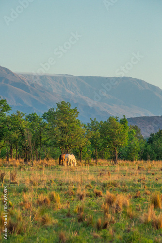 Paisajes de Nono en Cordoba Argentina