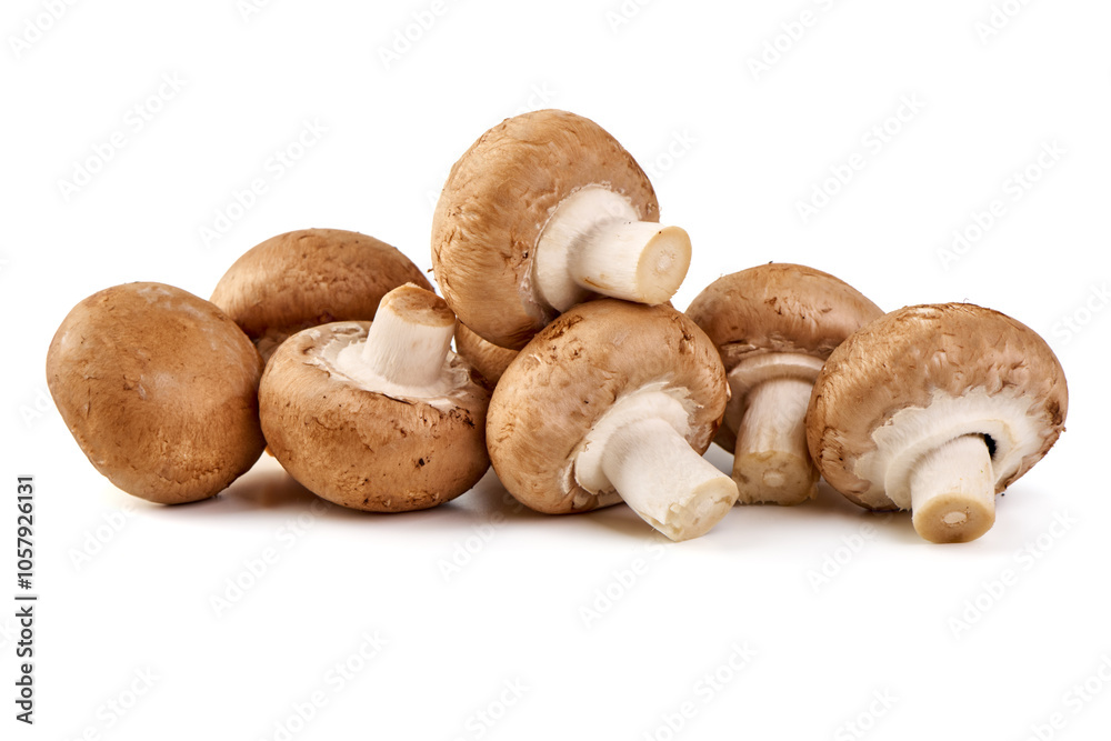 Royal brown champignons, isolated on white background. Royal brown champignons, isolated on white background.