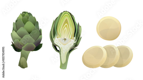 Green artichoke, artichoke heart and raw artichokes. Whole, fresh peeled cut and half of artichokes heart, center of vegetable. Globe Artichoke green flower heads. Fresh natural vegetable