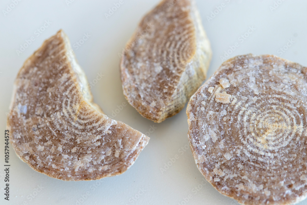 Nummulitis Divide from above and horizontal Nummulitis Divide from above and horizontal