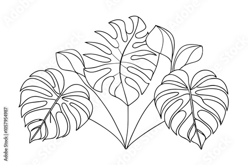 Explore the Beauty of Tropical Leaves Stunning Line Art Illustrations photo