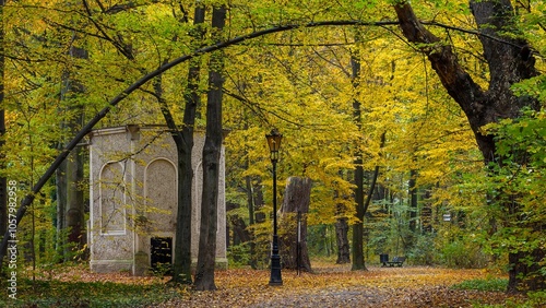 colorful, golden leaves autumn in the park