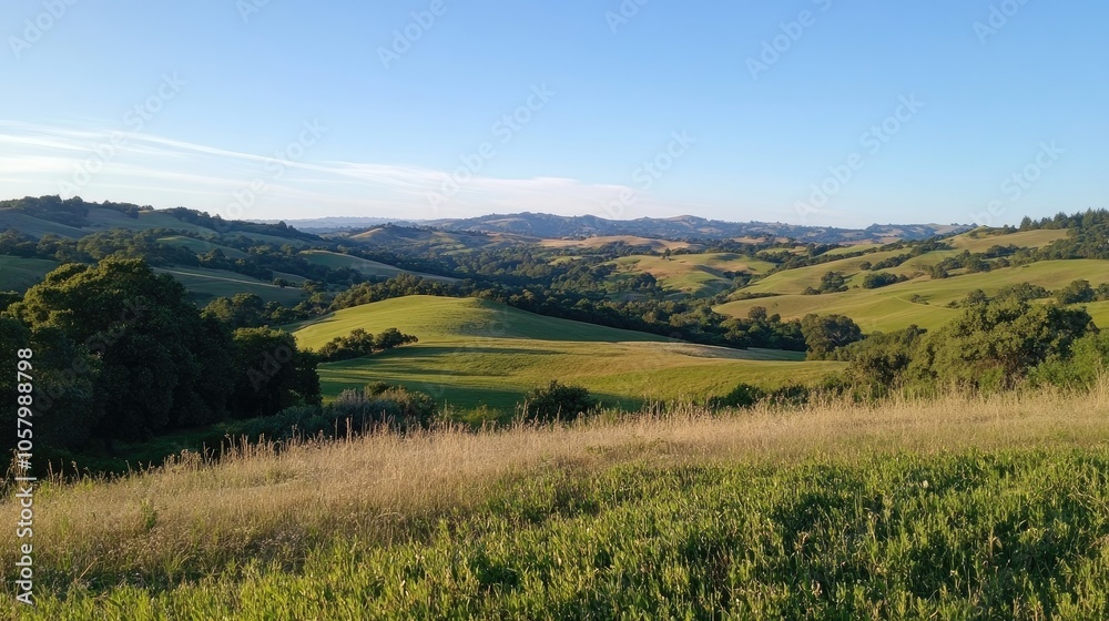 Scenic overlook with panoramic views of rolling hills and valleys Scenic overlook with panoramic views of rolling hills and valleys