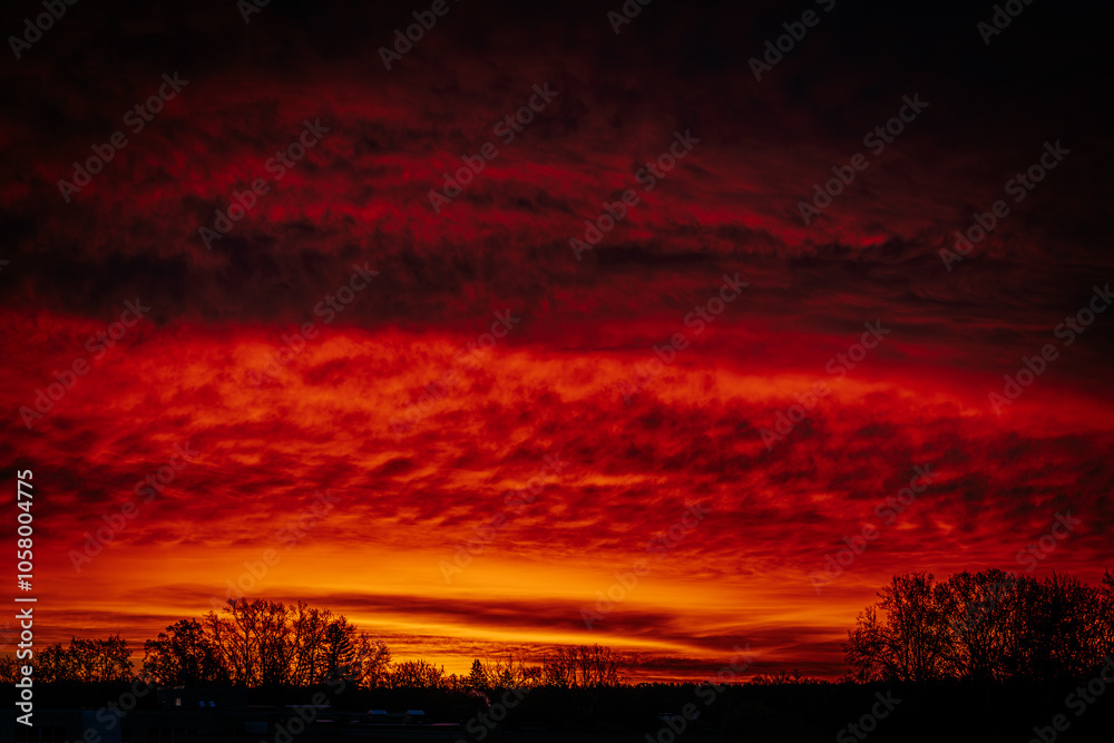 Fototapeta premium Vibrant, dramatic sunset with deep red, orange, and purple hues filling the sky, silhouetted by tree outlines. The gradient sky creates a striking and moody atmosphere.