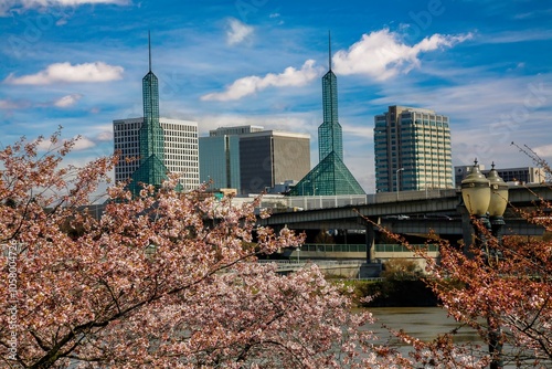 the Willamette River and flowering cherry trees with Portland convention cneter in the background photo