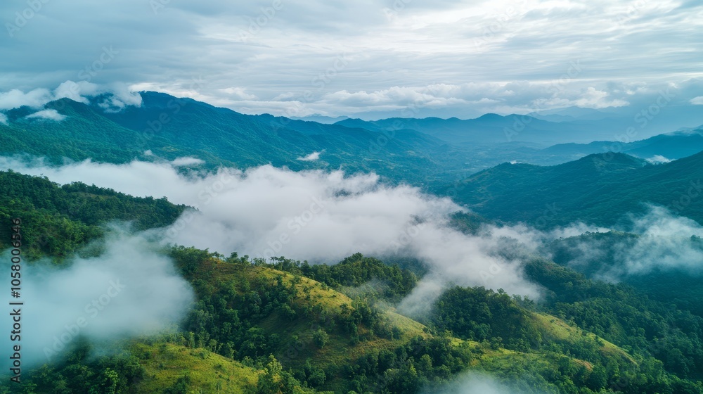 Aerial View of Lush Green Mountains Shrouded in Mist Aerial View of Lush Green Mountains Shrouded in Mist