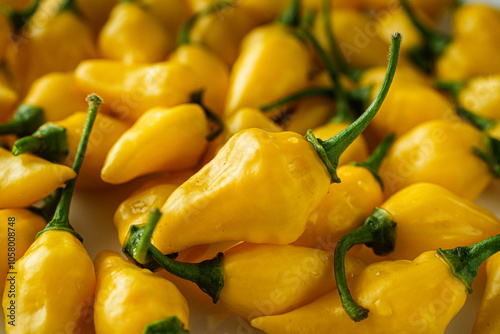 Aji Limo Pepper (Lemon Drop Pepper): Fresh and Spicy Yellow Chili Peppers on White Background