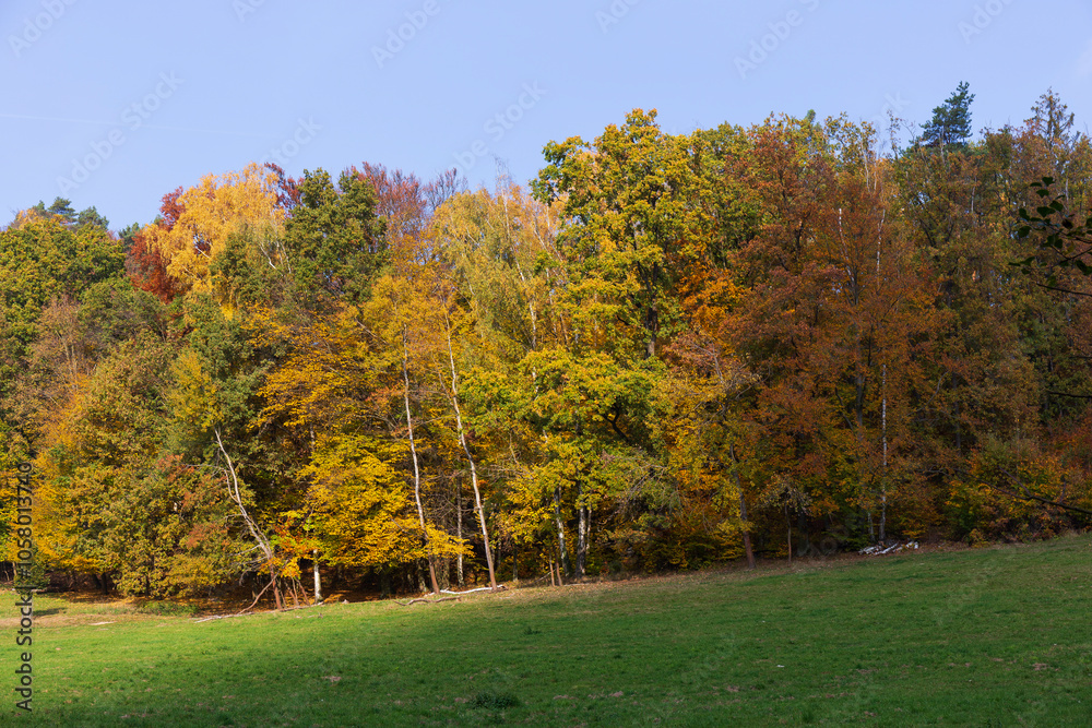 Fototapeta premium Colorful autumn Landscape in Bohemian Paradise, Czech Republic 