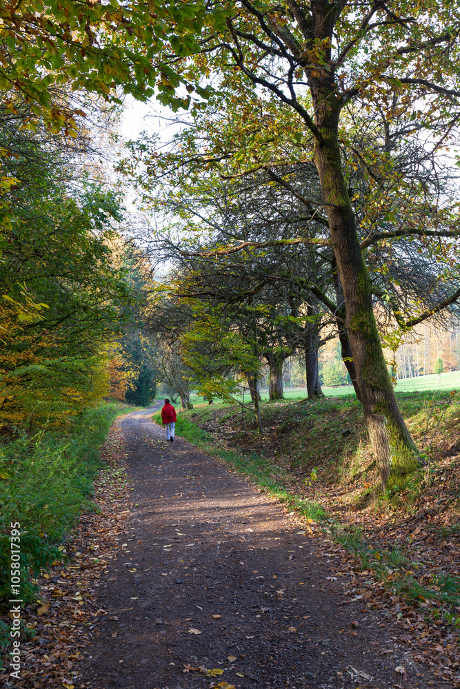 Colorful autumn Landscape in Bohemian Paradise, Czech Republic