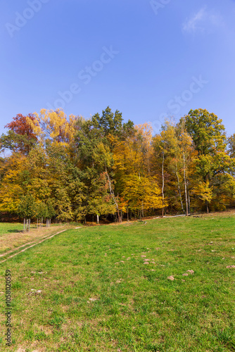 Obraz na płótnie Colorful autumn Landscape in Bohemian Paradise, Czech Republic w salonie