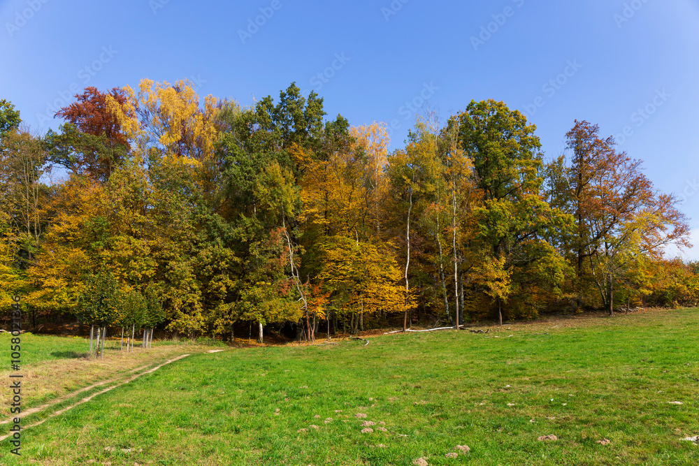 Colorful autumn Landscape in Bohemian Paradise, Czech Republic