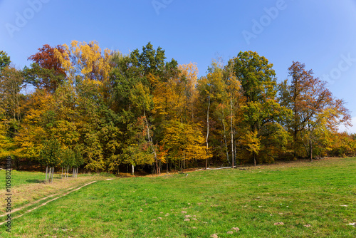 Obraz na płótnie Colorful autumn Landscape in Bohemian Paradise, Czech Republic w salonie