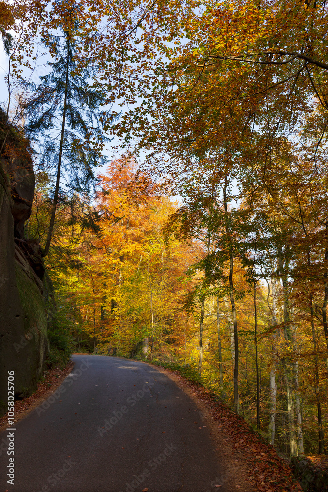 Colorful autumn Landscape in Bohemian Paradise, Czech Republic