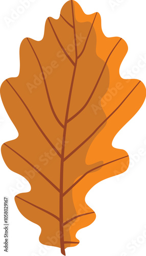 Illustration of an autumn leaf from a tree in orange isolated on a white background