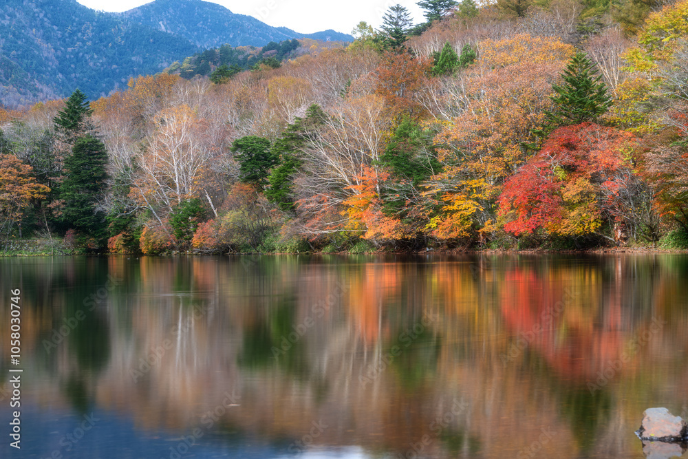 Naklejka premium 深まる奥日光の紅葉風景 