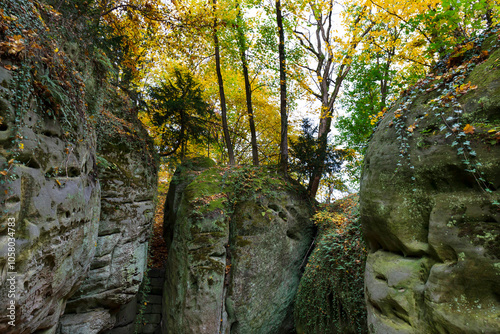 Obraz na płótnie Colorful autumn Landscape in Bohemian Paradise, Czech Republic w salonie