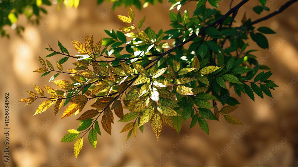 Vibrant green and golden leaves basking in sunlight against a soft background