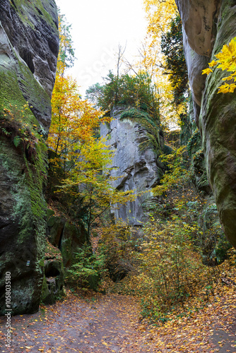 Obraz na płótnie Colorful autumn Landscape in Bohemian Paradise, Czech Republic w salonie