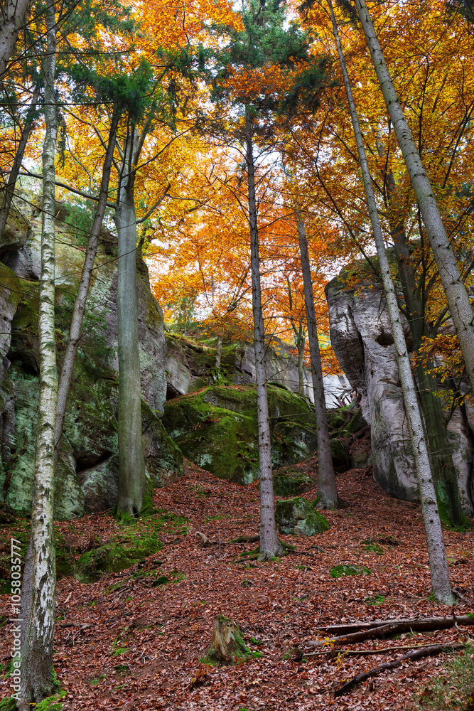 Colorful autumn Landscape in Bohemian Paradise, Czech Republic