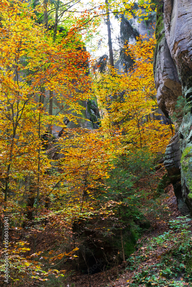 Colorful autumn Landscape in Bohemian Paradise, Czech Republic 