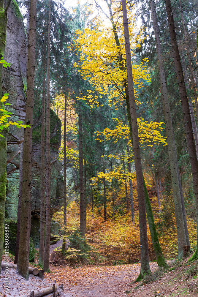 Colorful autumn Landscape in Bohemian Paradise, Czech Republic