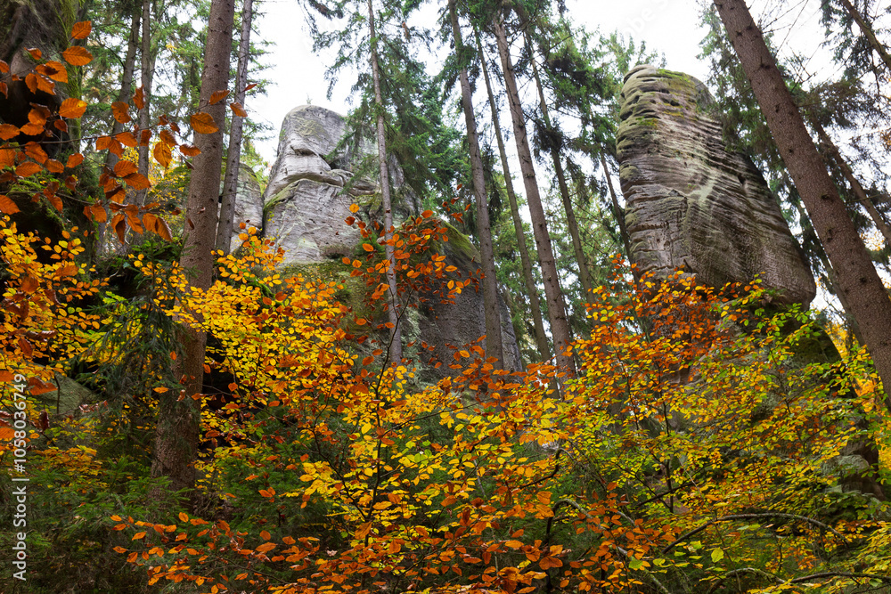 Colorful autumn Landscape in Bohemian Paradise, Czech Republic