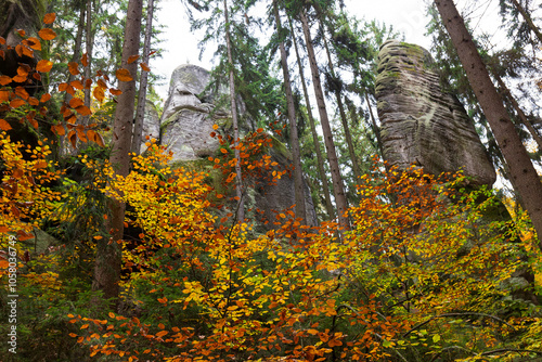 Obraz na płótnie Colorful autumn Landscape in Bohemian Paradise, Czech Republic w salonie
