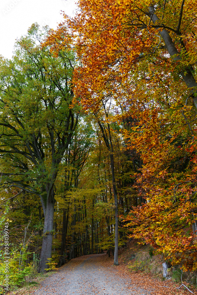 Colorful autumn Landscape in Bohemian Paradise, Czech Republic