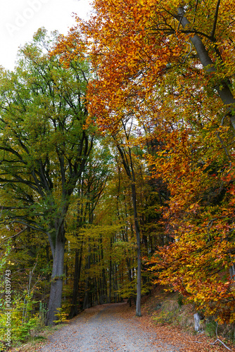 Colorful autumn Landscape in Bohemian Paradise, Czech Republic 