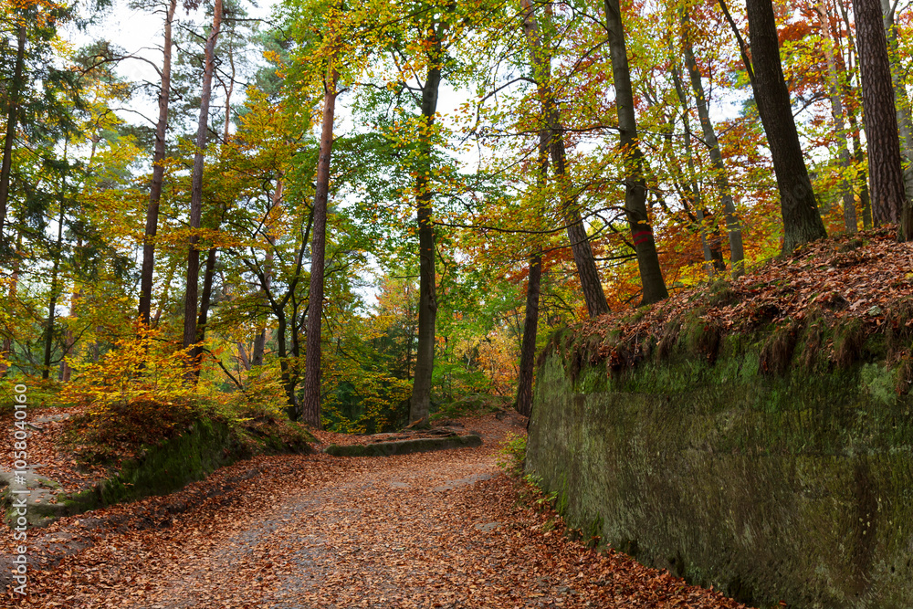 Colorful autumn Landscape in Bohemian Paradise, Czech Republic