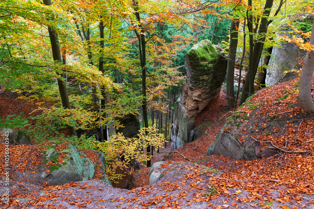 Colorful autumn Landscape in Bohemian Paradise, Czech Republic