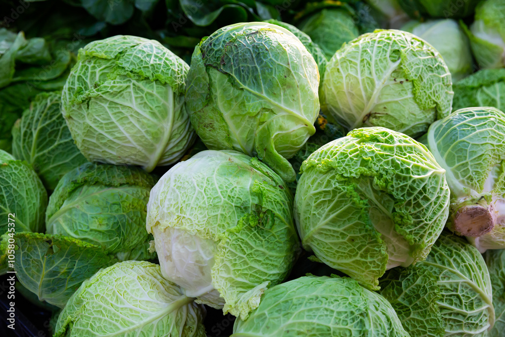 Fototapeta premium Fresh cabbage heads as background. Closeup view of organic leafy vegetables