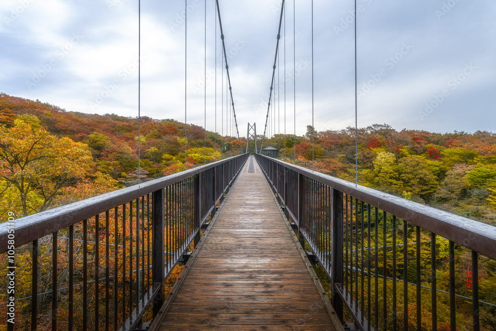 Obraz premium 栃木県 那須岳周辺の紅葉風景 
